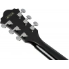 Акустична гітара Ibanez AE170-TBK