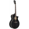 Акустична гітара Ibanez AE170-TBK