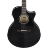 Акустична гітара Ibanez AE170-TBK