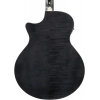 Акустична гітара Ibanez AE170-TBK