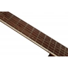 Акустична гітара Ibanez AE245-NT