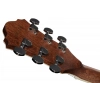 Акустична гітара Ibanez AE245-NT