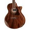 Акустична гітара Ibanez AE245-NT