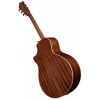 Акустична гітара Ibanez AE245-NT