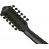 Акустична гітара Ibanez AEG1221-BOT
