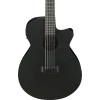 Акустична гітара Ibanez AEG1221-BOT