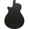Акустична гітара Ibanez AEG1221-BOT