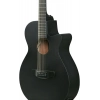 Акустична гітара Ibanez AEG1221-BOT