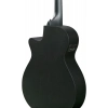 Акустична гітара Ibanez AEG1221-BOT