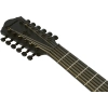 Акустична гітара Ibanez AEG1221-BOT