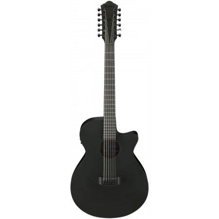 Акустична гітара Ibanez AEG1221-BOT