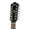 Акустична гітара Ibanez AEG5012-BKH
