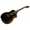 Акустична гітара Ibanez AEG5012-BKH