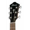 Акустична гітара Ibanez AEG50L-BKH