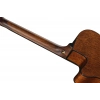 Классическая гитара Ibanez AEG50N-BKH Nylon
