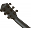 Акустическая гитара Ibanez AEG621-BOT