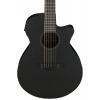 Акустична гітара Ibanez AEG721-BOT
