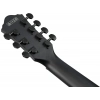 Акустична гітара Ibanez AEG721-BOT