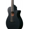 Акустична гітара Ibanez AEG721-BOT
