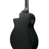 Акустична гітара Ibanez AEG721-BOT