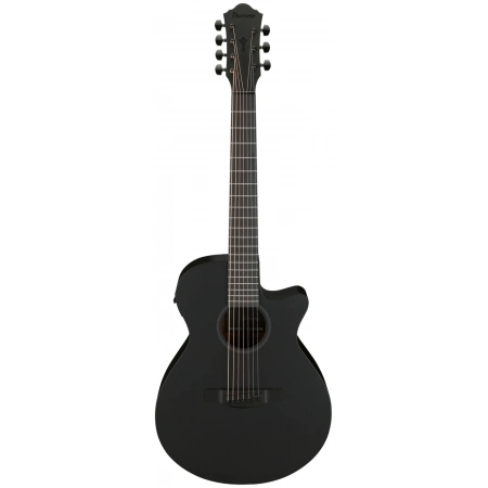 Акустична гітара Ibanez AEG721-BOT