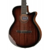 Классическая гитара Ibanez AEG74N-MHS