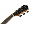 Акустична гітара Ibanez AEG7MH-OPN