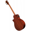 Бас-гітара Ibanez AEGB24E-BKH