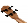 Бас-гитара Ibanez AEGB24E-MHS