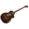 Бас-гитара Ibanez AEGB24E-MHS