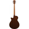 Бас-гітара Ibanez AEGB24FE-MHS Fretless