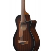 Бас-гітара Ibanez AEGB24FE-MHS Fretless