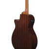 Бас-гітара Ibanez AEGB24FE-MHS Fretless