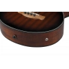 Бас-гітара Ibanez AEGB24FE-MHS Fretless