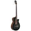 Бас-гітара Ibanez AEGB25E-TKH