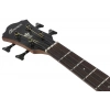 Бас-гітара Ibanez AEGB25E-TKH