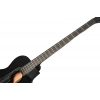 Бас-гітара Ibanez AEGB420-BOT