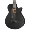 Бас-гітара Ibanez AEGB420-BOT