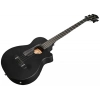 Бас-гітара Ibanez AEGB420-BOT