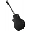 Бас-гітара Ibanez AEGB420-BOT