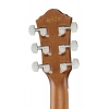 Акустическая гитара Ibanez AEWC11-TCB