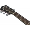 Акустична гітара Ibanez AEWC16QA-TKH