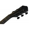 Акустична гітара Ibanez AEWC621-BOT