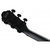 Акустична гітара Ibanez AEWC621-BOT
