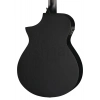 Акустична гітара Ibanez AEWC621-BOT