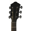Акустична гітара Ibanez AEWC621-BOT
