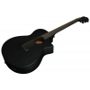 Акустична гітара Ibanez AEWC621-BOT
