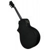Акустична гітара Ibanez AEWC621-BOT