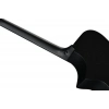 Акустична гітара Ibanez AEWC621-BOT