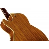 Електрогітара Ibanez AG95K-NT